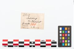 Etikett zu Bronzering (NHMW-PRAE-025421)